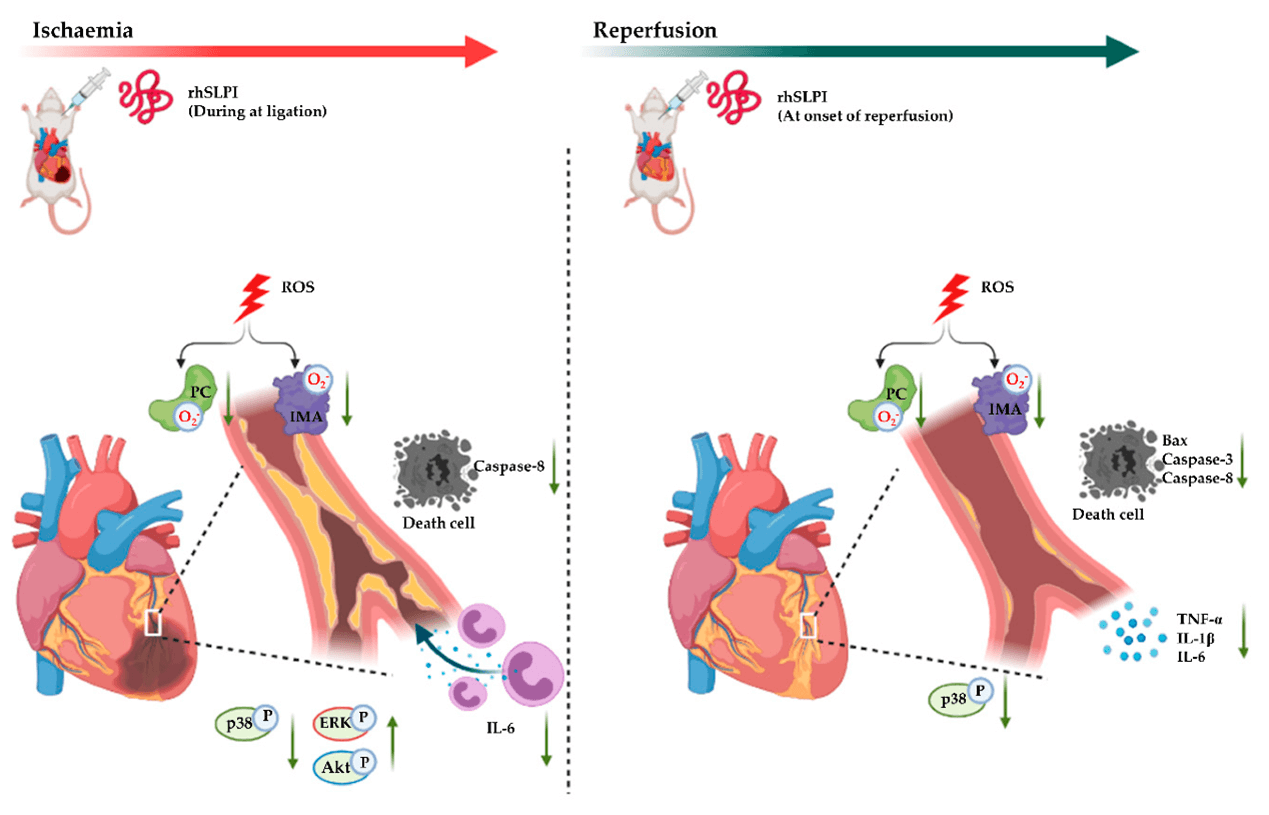 Biomedicines 09 00422 g008