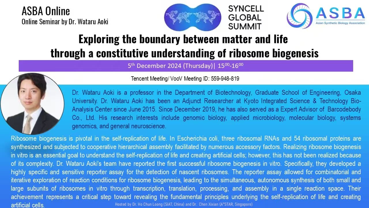 Exploring the boundary between matter and life through a constitutive understanding of ribosome biogenesis